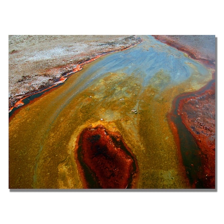 Nicole Dietz 'Yellowstone Rusty Geyser' Canvas Art,22x32